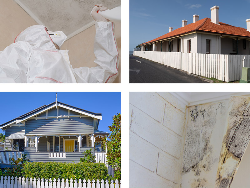 Experienced Mould Remediation Team