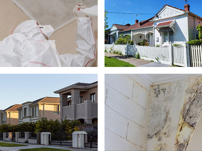 Experienced Mould Remediation Team