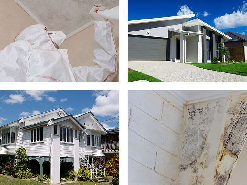 Experienced Mould Remediation Team